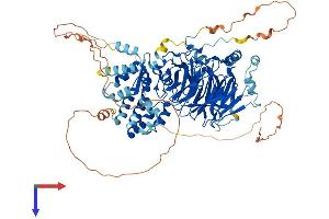TAF5 Protein (AA 1-801) (His tag)