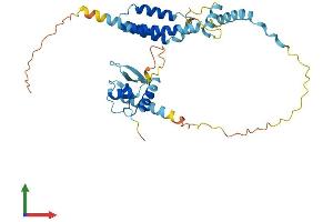 Protein Structure (PS) image for EP300 Interacting Inhibitor of Differentiation 3 (EID3) (AA 1-333) protein (His tag) (ABIN7547310)
