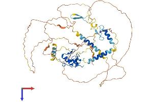 RNF220 Protein (AA 1-566) (His tag)