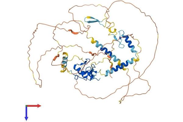 RNF220 Protein (AA 1-566) (His tag)
