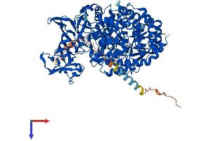 ENPEP Protein (AA 1-945) (His tag)