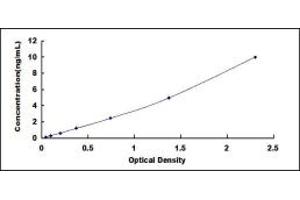 Typical standard curve (TJP2 ELISA Kit)