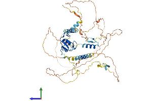 Protein Structure (PS) image for Ring Finger Protein 220 (RNF220) (AA 1-566) protein (His tag) (ABIN7551508)