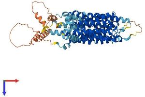 SLC43A1 Protein (AA 1-564) (His tag)
