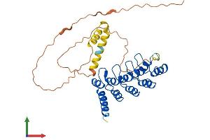 AlphaFold protein structure predicition of Mouse Recombinant Ankra2 Protein, UniprotID Q99PE2