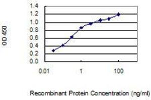 ELISA image for anti-Cyclin-Dependent Kinase Inhibitor 1B (p27, Kip1) (CDKN1B) (AA 1-198) antibody (ABIN4888951)
