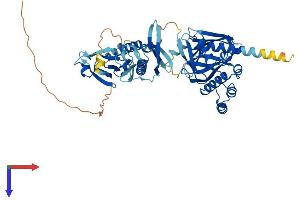 SNX27 Protein (AA 1-541) (His tag)