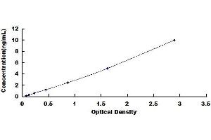 Typical standard curve (LDHB ELISA Kit)