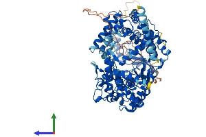 Protein Structure (PS) image for Endothelin Converting Enzyme-Like 1 (ECEL1) (AA 1-775) protein (His tag) (ABIN7553760)