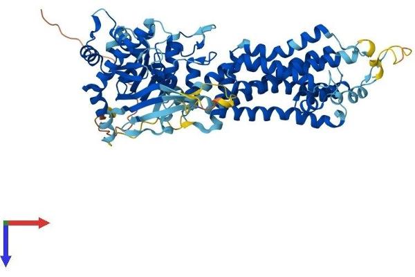 ABCG5 Protein (AA 1-651) (His tag)