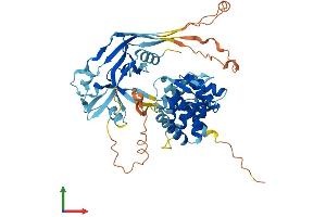 AlphaFold protein structure predicition of Mouse Recombinant Gsdmc2 Protein, UniprotID Q2KHK6