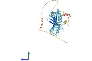 Protein Structure (PS) image for Ubiquitin Family Domain Containing 1 (UBFD1) (AA 1-309) protein (His tag) (ABIN7544845)