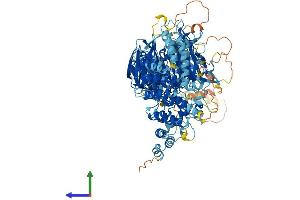 AlphaFold protein structure predicition of Human Recombinant WDR11 Protein, UniprotID Q9BZH6