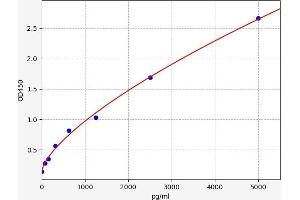 Typical standard curve (Superoxide dismutase copper chaperone ELISA Kit)