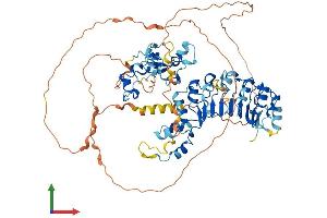 Protein Structure (PS) image for F-Box and Leucine-Rich Repeat Protein 19 (FBXL19) (AA 1-674) protein (His tag) (ABIN7558034)