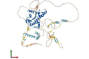 Protein Structure (PS) image for Adducin 2 (Beta) (ADD2) (AA 1-726) protein (His tag) (ABIN7551927)