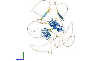 AlphaFold protein structure predicition of Human Recombinant BRD2 Protein, UniprotID P25440 (BRD2 Protein (AA 1-801) (His tag))