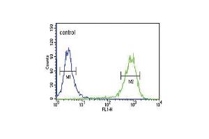 MC3R Antibody (Center) (ABIN652665 and ABIN2842446) flow cytometric analysis of K562 cells (right histogram) compared to a negative control cell (left histogram). (MC3R Antikörper  (AA 86-112))