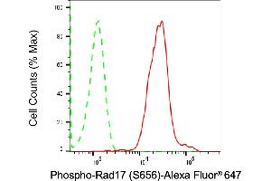 Flow cytometric analysis of Phospho-Rad17 (S656) expression in HAP-1 cells using Phospho-Rad17 (S656) antibody (ABIN7800113), 1:2,000).