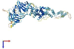 GSAP Protein (AA 1-854) (His tag)
