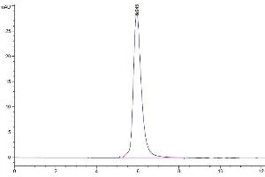 The purity of Human M-CSF R is greater than 95 % as determined by SEC-HPLC. (CSF1R Protein (AA 20-512) (His-Avi Tag))