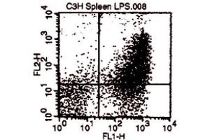 Flow Cytometry (FACS) image for anti-CD80 (CD80) antibody (ABIN951412) (CD80 Antikörper)