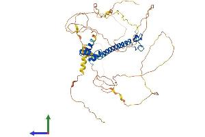 Protein Structure (PS) image for DMRT-Like Family A2 (DMRTA2) (AA 1-542) protein (His tag) (ABIN7547061)