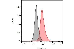 Detection of human CD1a on the surface of MOLT-4 cells (compared with blank) using anti-human CD1a FITC. (CD1a Antikörper  (FITC))