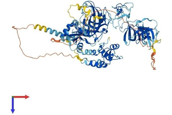UHRF1 Protein (AA 1-793) (His tag)