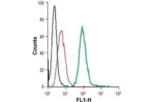 Cell surface detection of 5HT4 receptor in live intact mouse J774 macrophage cells: (black line) Cells. (Serotonin Receptor 4 Antikörper  (Extracellular) (FITC))