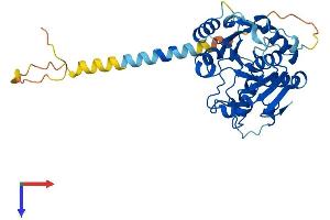 ST6GALNAC6 Protein (AA 1-333) (His tag)