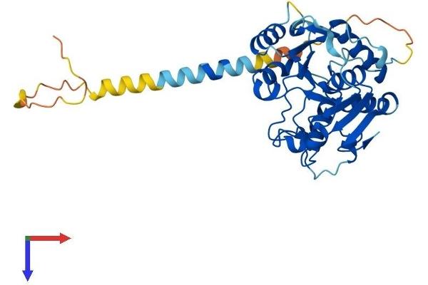 ST6GALNAC6 Protein (AA 1-333) (His tag)