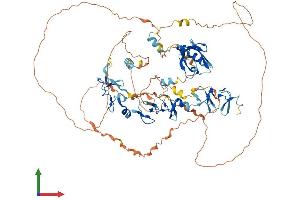 Protein Structure (PS) image for LIM Domain Binding 3 (LDB3) (AA 1-727) protein (His tag) (ABIN7549009)