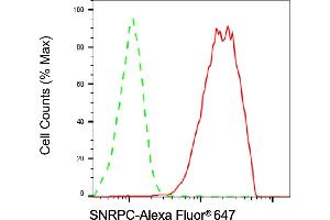 Flow cytometric analysis of SNRPC expression in HAP-1 cells using SNRPC antibody (ABIN7800380), 1:2,000). (Rekombinanter SNRPC Antikörper)