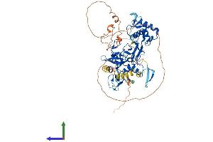 Protein Structure (PS) image for PHD Finger Protein 19 (PHF19) (AA 1-580) protein (His tag) (ABIN7554928)