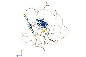 Protein Structure (PS) image for Protein Phosphatase 1, Regulatory Subunit 13 Like (PPP1R13L) (AA 1-824) protein (His tag) (ABIN7563823)