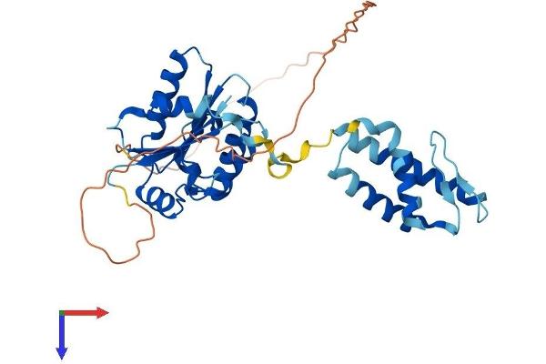 KTI12 Protein (AA 1-354) (His tag)