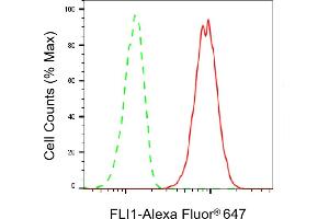 Flow cytometric analysis of FLI1 expression in HT- cells using FLI1 antibody (ABIN7798660), 1:2,000).