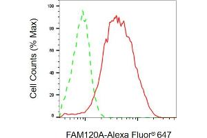 Flow cytometric analysis of FAM120A expression in HepG2 cells using FAM120A antibody (ABIN7798558), 1:2,000). (FAM120A Antikörper)