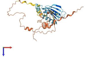 AlphaFold protein structure predicition of Human Recombinant PMS2P2 Protein, UniprotID O95744