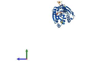 Protein Structure (PS) image for Abhydrolase Domain Containing 14A (ABHD14A) (AA 1-271) protein (His tag) (ABIN7551766)