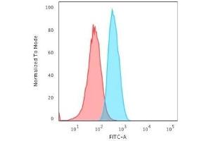 Flow Cytometric Analysis of T98G cells using GAD1 (GAD67) Mouse Monoclonal Antibody (GAD1/2563) followed by Goat anti-Mouse IgG-CF488 (Blue); Isotype Control (Red). (GAD Antikörper  (AA 72-135))