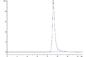 Size-exclusion chromatography-High Pressure Liquid Chromatography (SEC-HPLC) image for Anterior Gradient Homolog 2 (Xenopus Laevis) (AGR2) (AA 21-175) protein (His tag) (ABIN7273812)