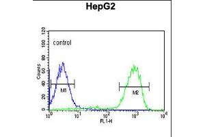 Flow cytometric analysis of HepG2 K10cells (right histogram) compared to a negative control cell (left histogram).