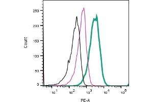 Cell surface detection of GPR171 by direct flow cytometry in live intact human Jurkat T-cell leukemia cells: + Rabbit IgG isotype control-PE (ABIN7582046).