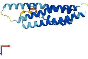 CNIH3 Protein (AA 1-160) (His tag)