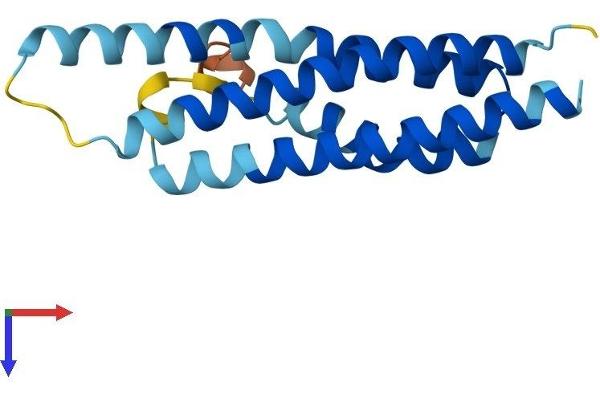 CNIH3 Protein (AA 1-160) (His tag)
