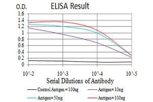 Black line: Control Antigen (100 ng), Purple line: Antigen(10 ng), Blue line: Antigen (50 ng), Red line: Antigen (100 ng),