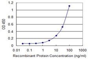 Detection limit for recombinant GST tagged MAFA is 1 ng/ml as a capture antibody. (MAFA Antikörper  (AA 222-308))