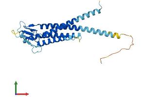 Protein Structure (PS) image for Lipoma HMGIC Fusion Partner-Like 4 (LHFPL4) (AA 1-247) protein (His tag) (ABIN7557563)